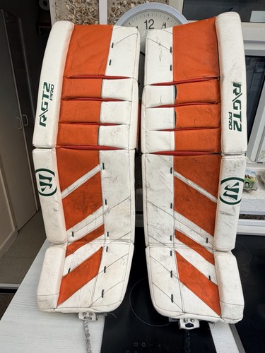Ice hockey warrior - ice, r
