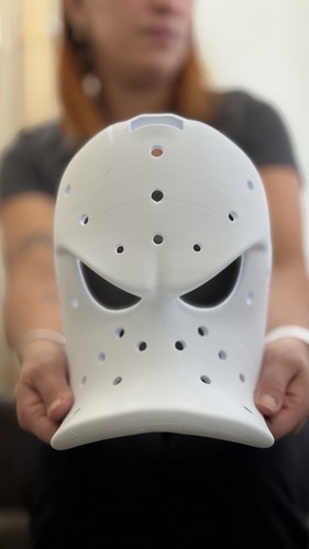 Ducks wild wing hockey - hockey, mask