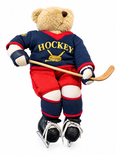 Ice hockey teddy bear - hockey,