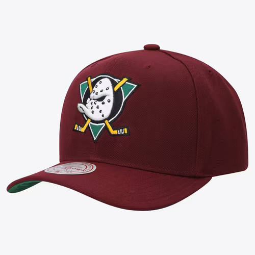 Anaheim ducks ice - anaheim,