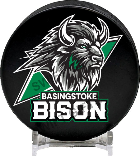 Basingstoke bison ice - basingstoke, hockey