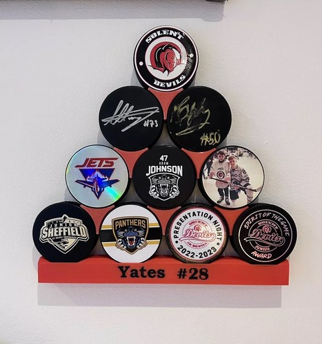 Wall mounted ice - mounted, puck