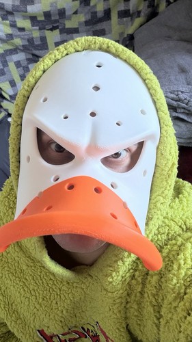 Anaheim ducks hockey mask - ducks,