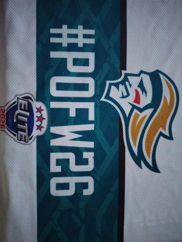 Sports memorabilia ice hockey - ice,