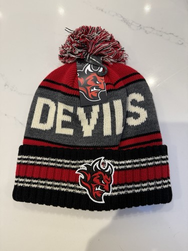 Cardiff devils ice - devils, hockey